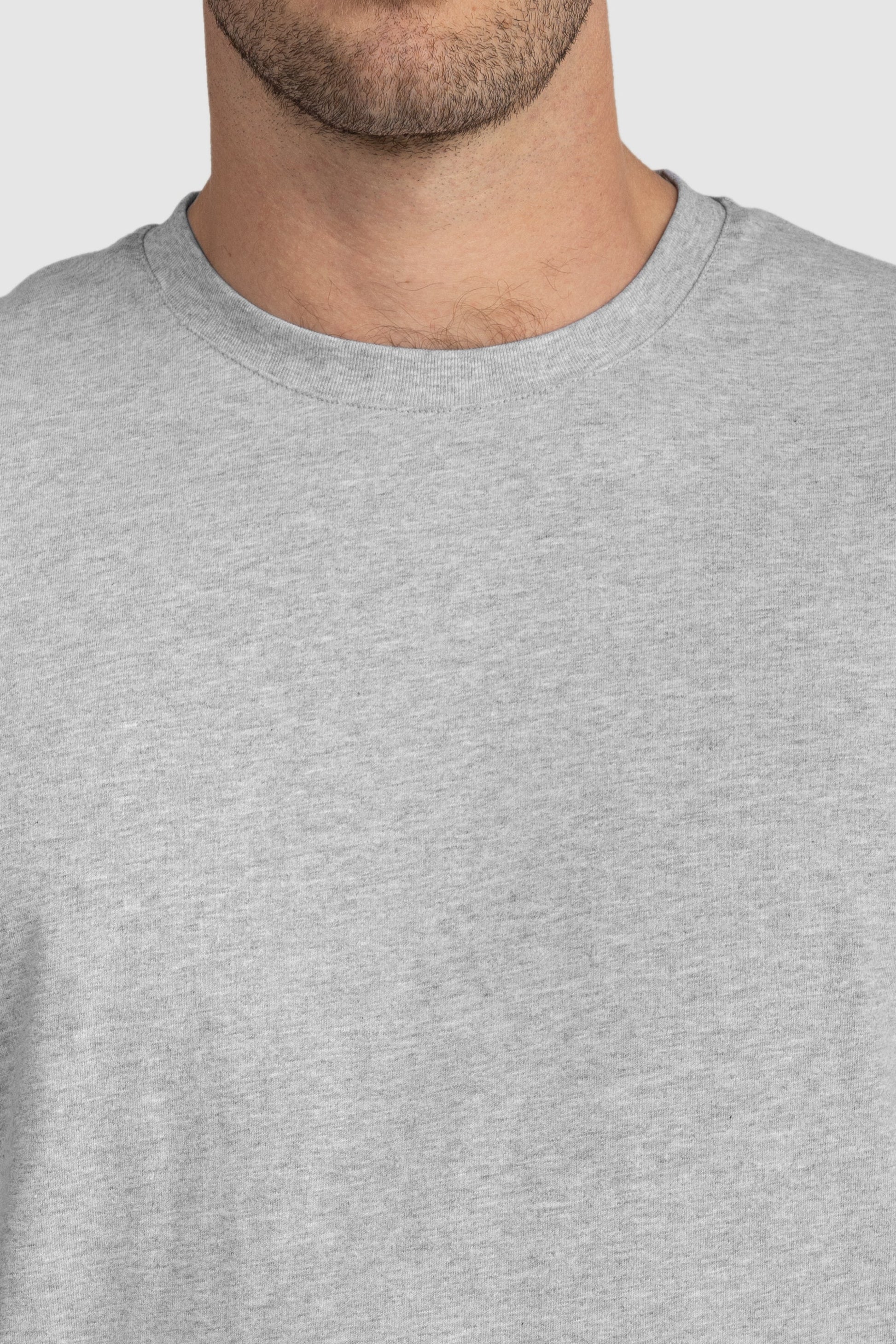 Mens Standard T Shirt Grey Marle
